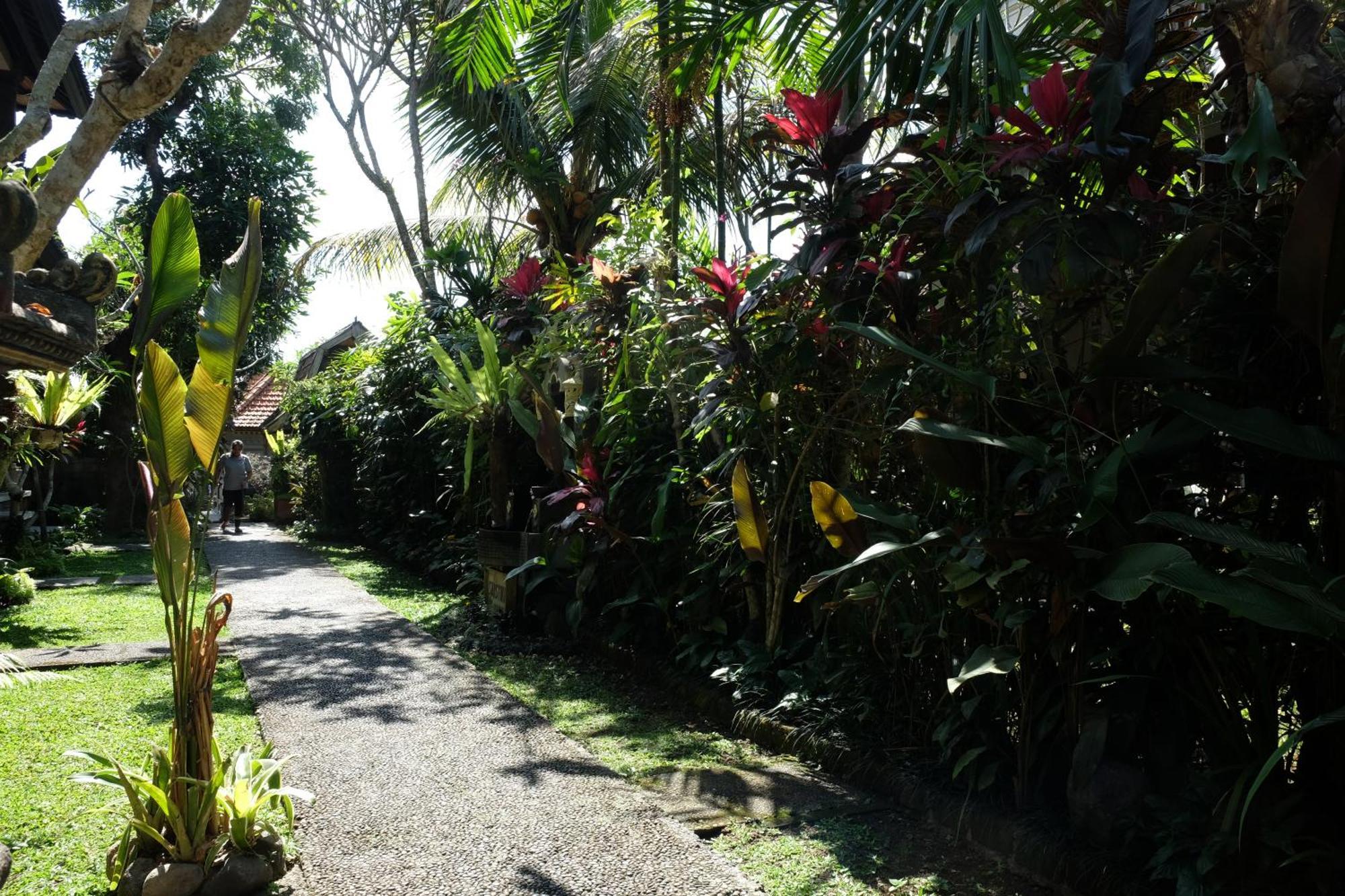 Suastika Guest House Ubud Экстерьер фото