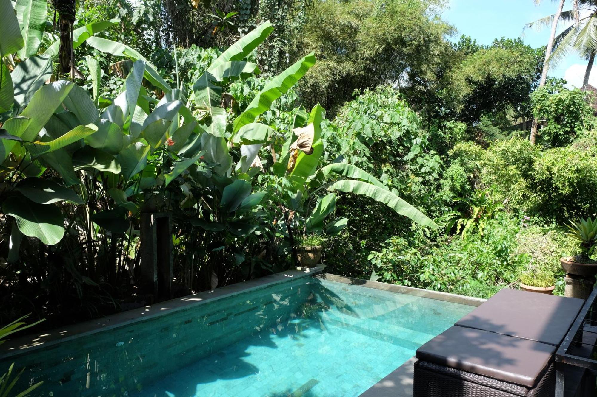 Suastika Guest House Ubud Экстерьер фото