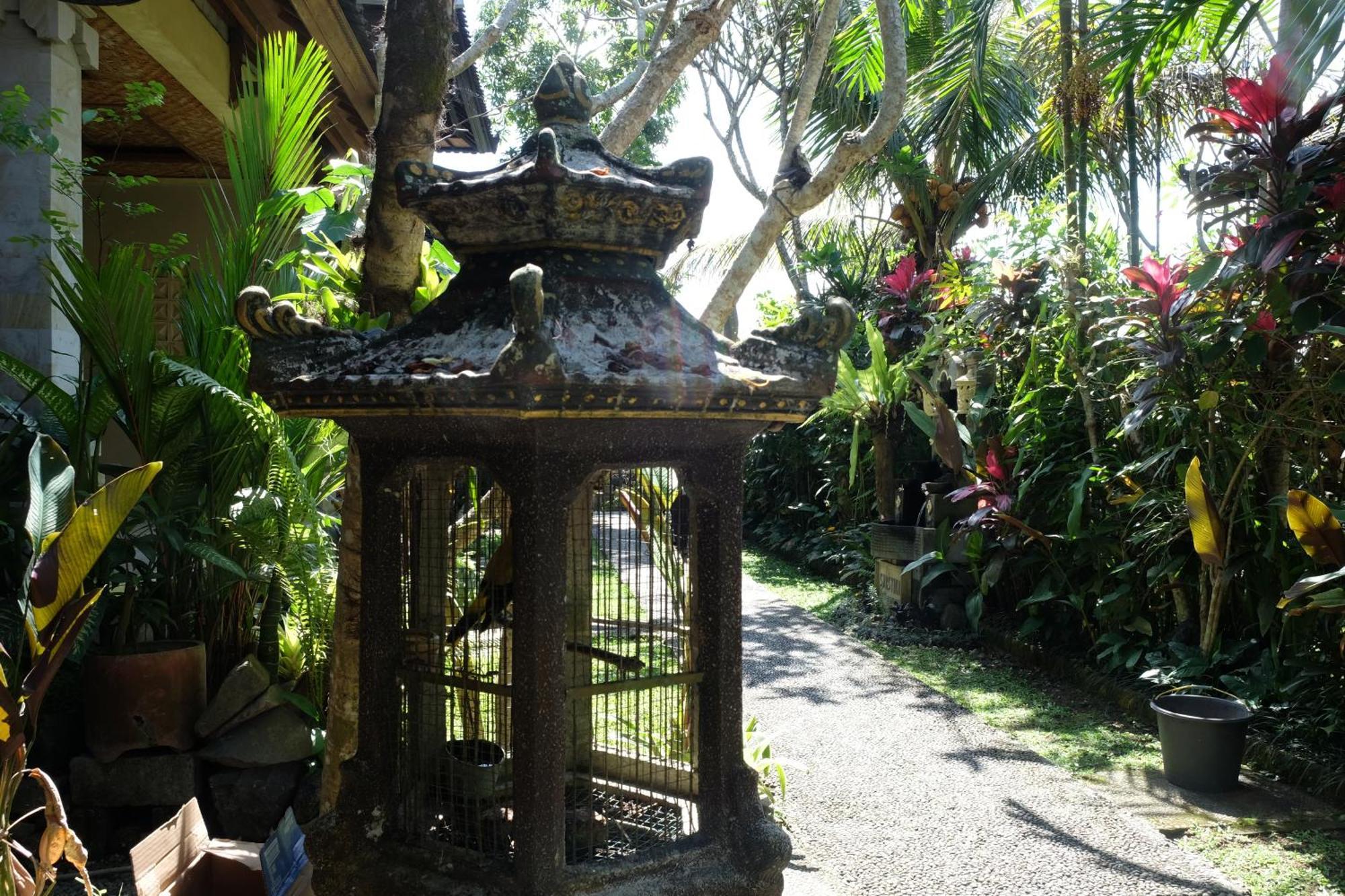 Suastika Guest House Ubud Экстерьер фото