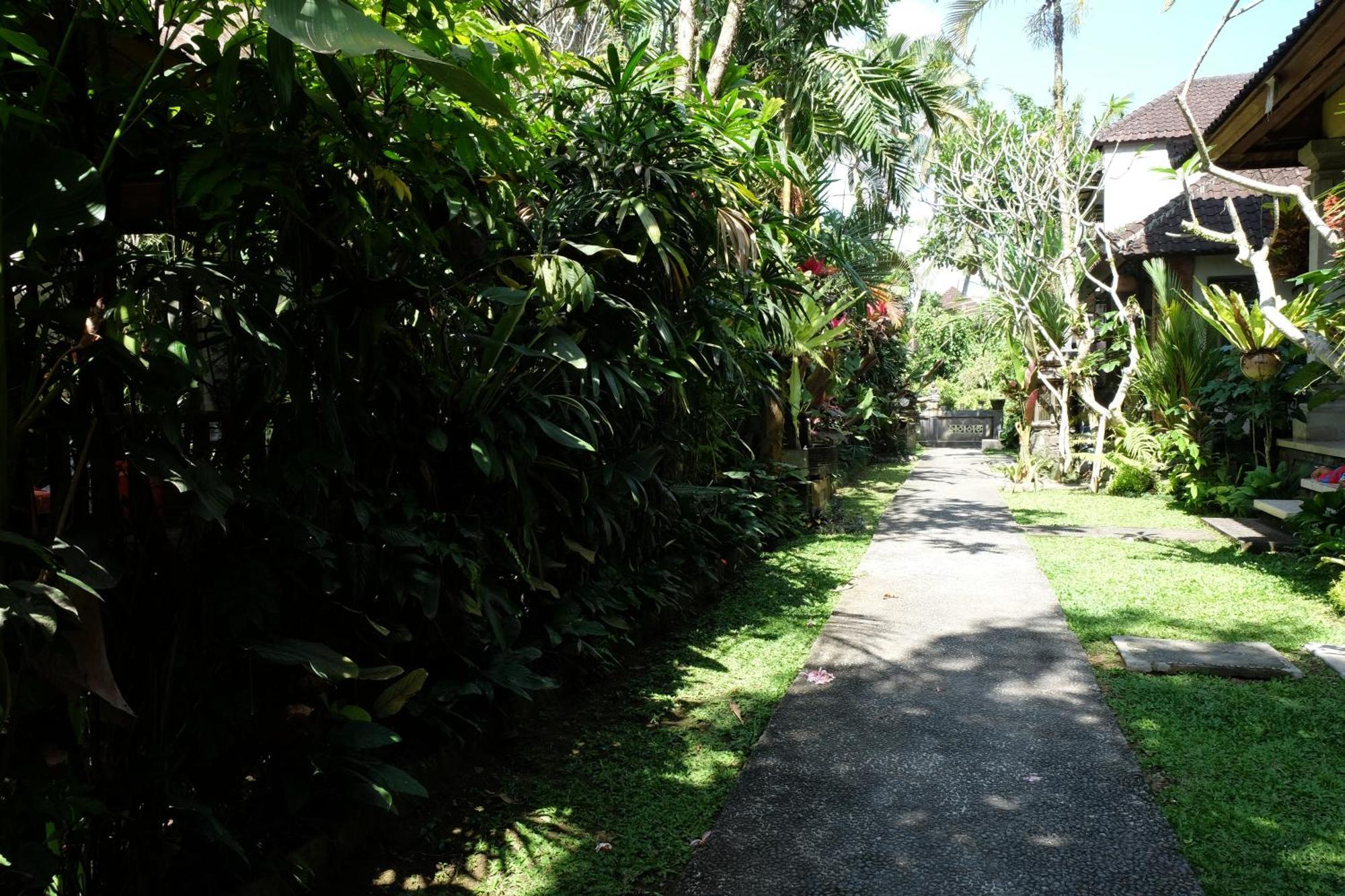 Suastika Guest House Ubud Экстерьер фото